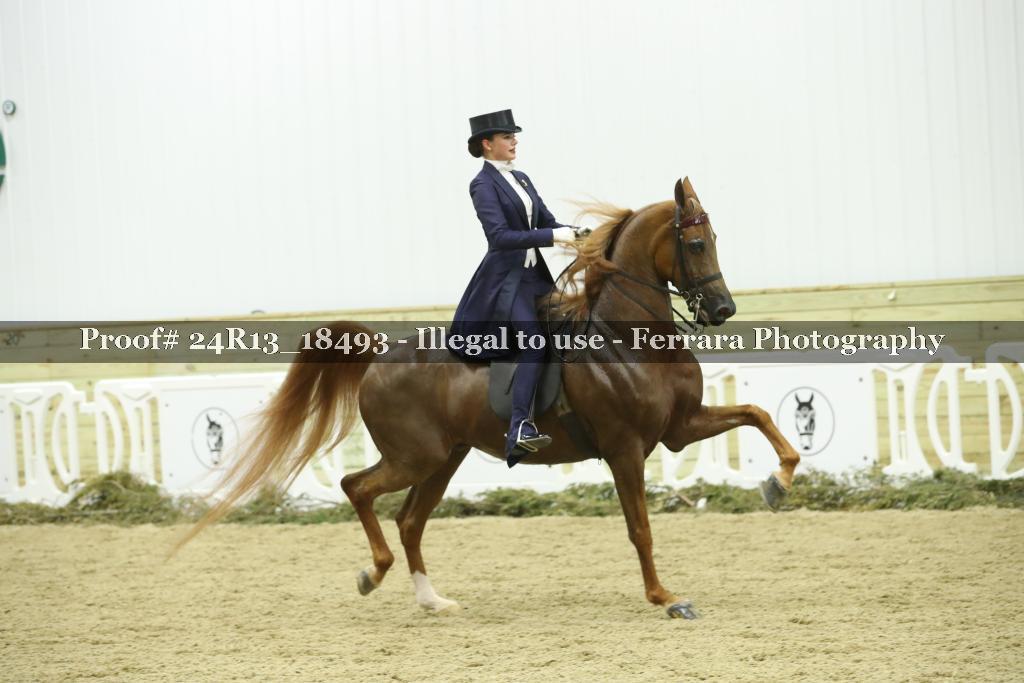 Proof Number 24R13_18493