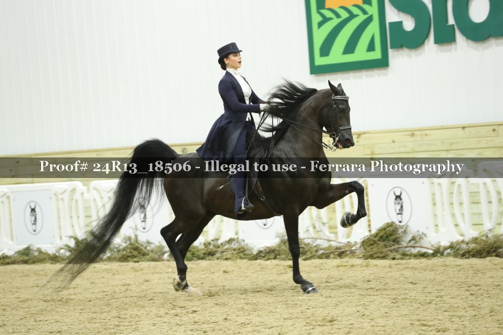 Proof Number 24R13_18506