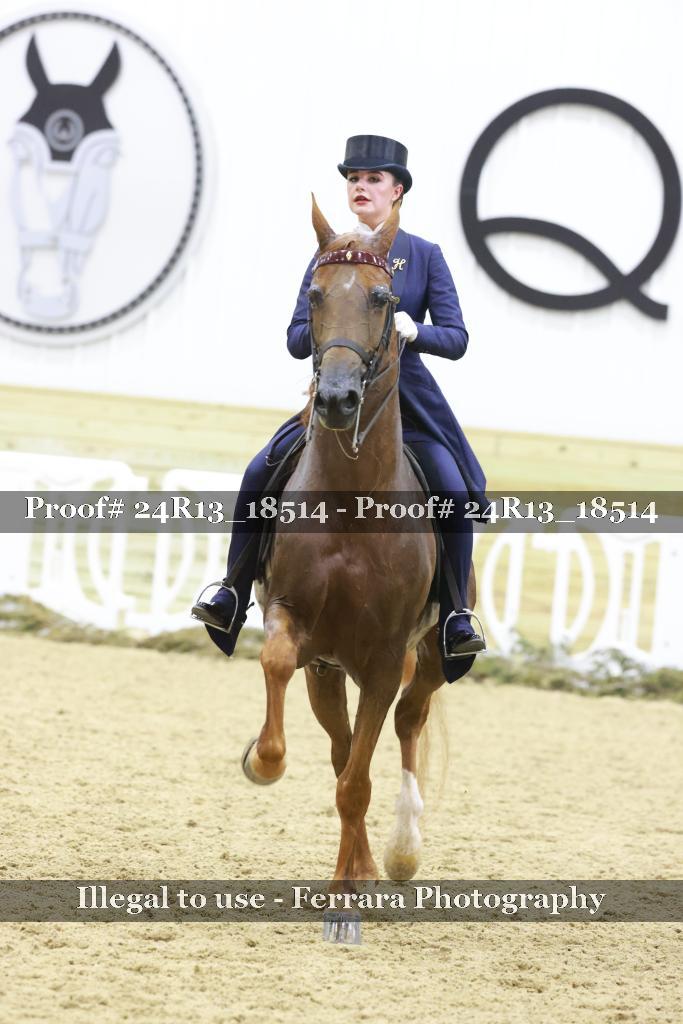 Proof Number 24R13_18514