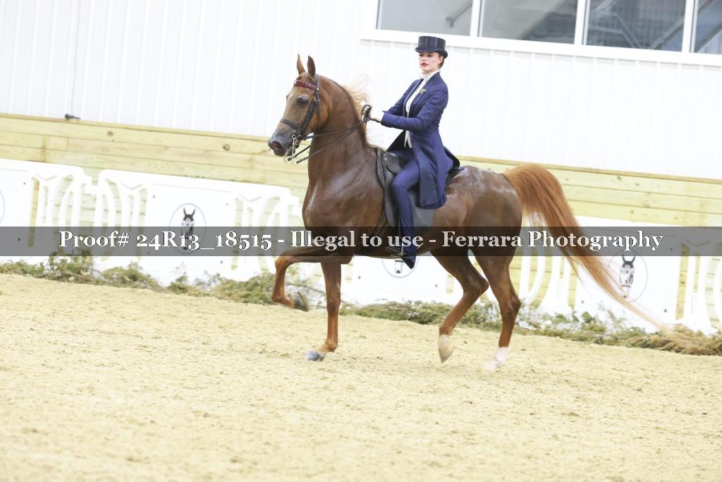 Proof Number 24R13_18515