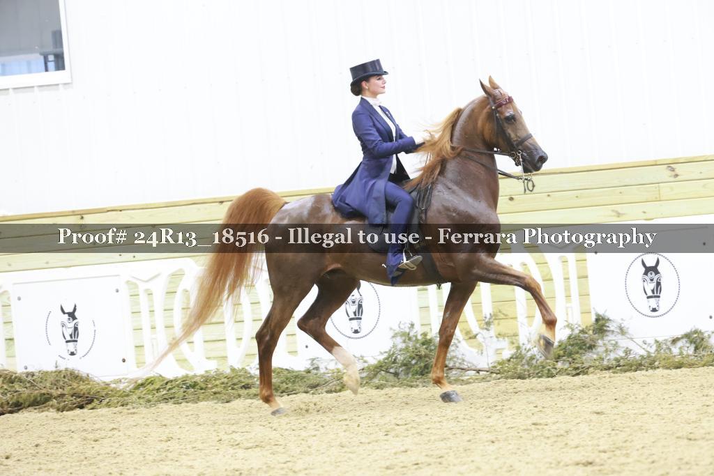 Proof Number 24R13_18516