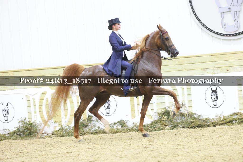 Proof Number 24R13_18517