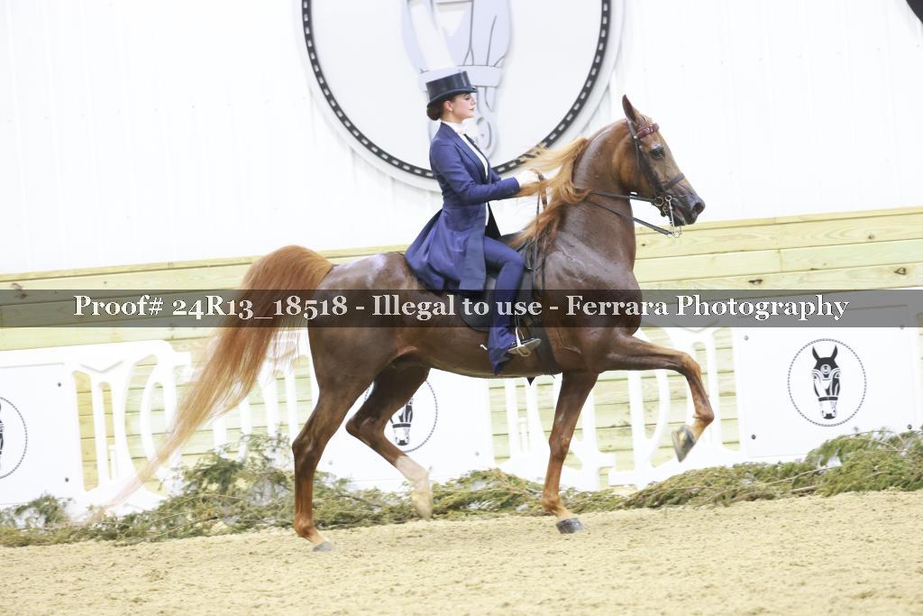 Proof Number 24R13_18518
