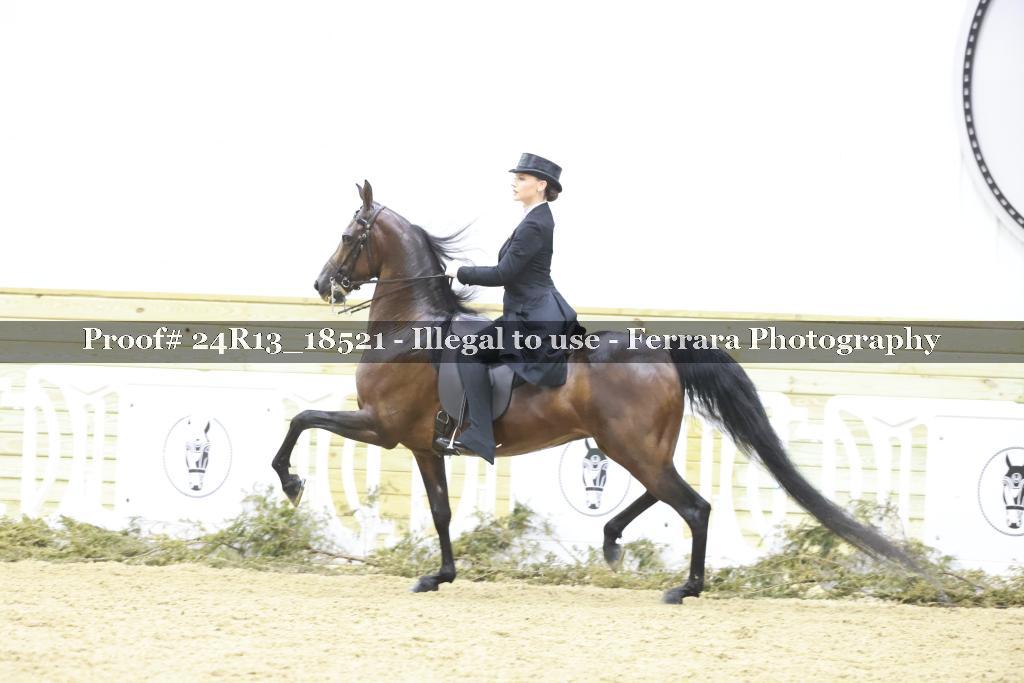 Proof Number 24R13_18521