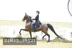 24R13_18521 thumbnail