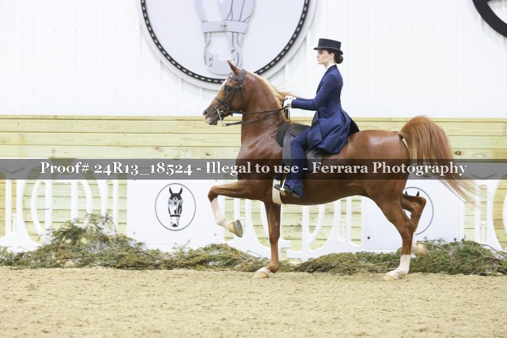 Proof Number 24R13_18524
