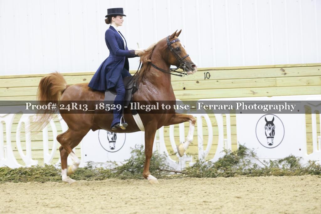 Proof Number 24R13_18529