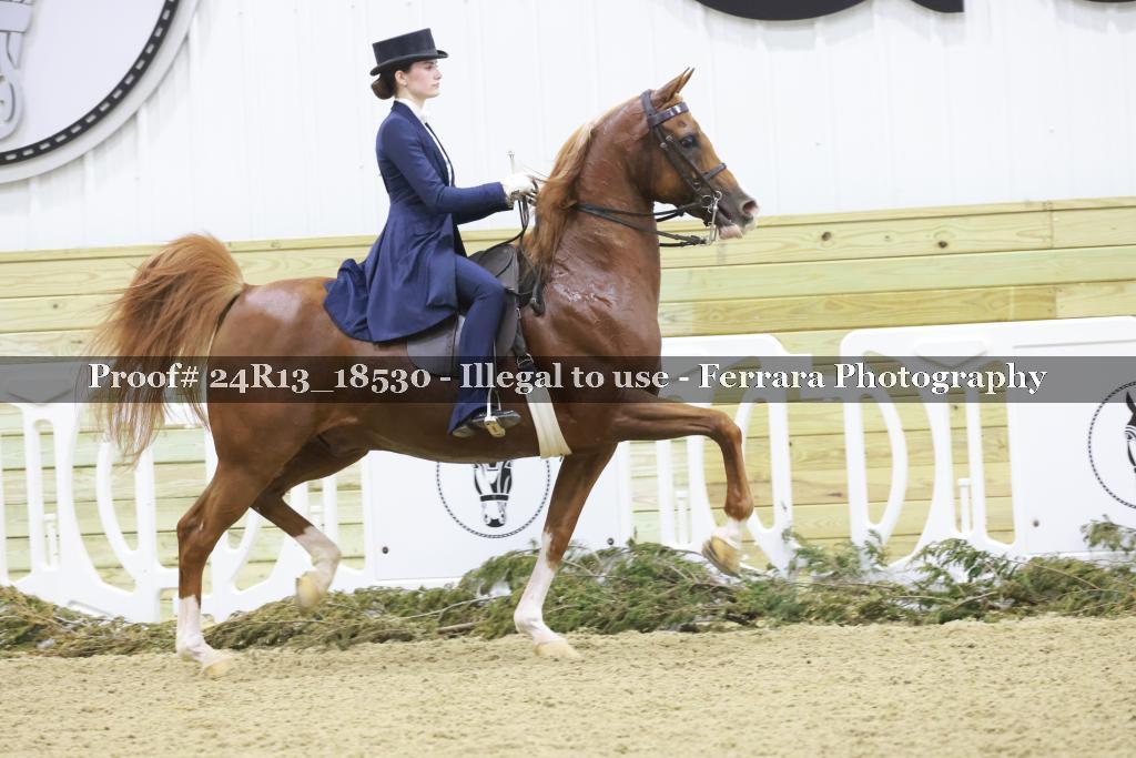 Proof Number 24R13_18530