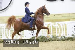 24R13_18530 thumbnail