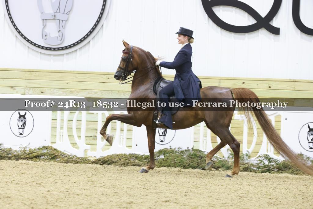Proof Number 24R13_18532