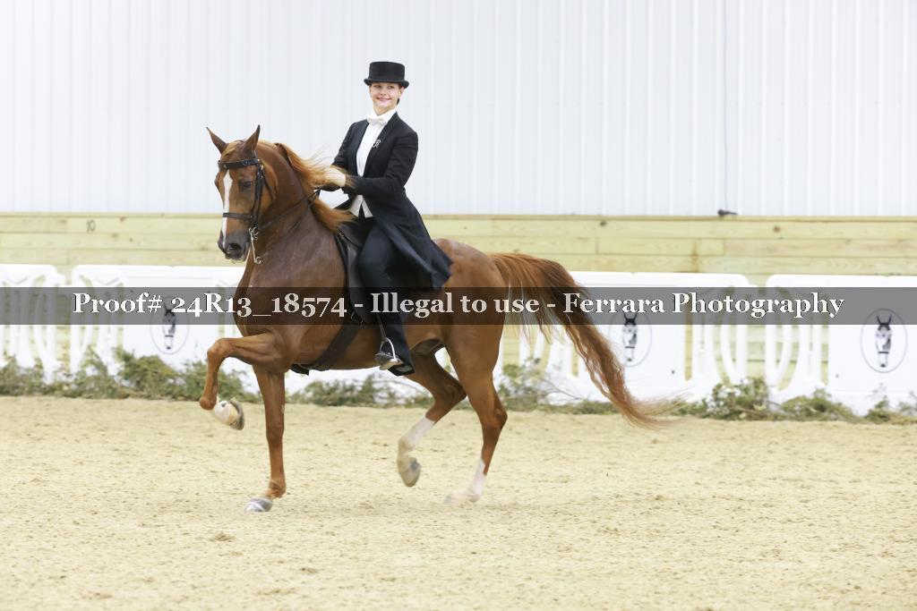 Proof Number 24R13_18574