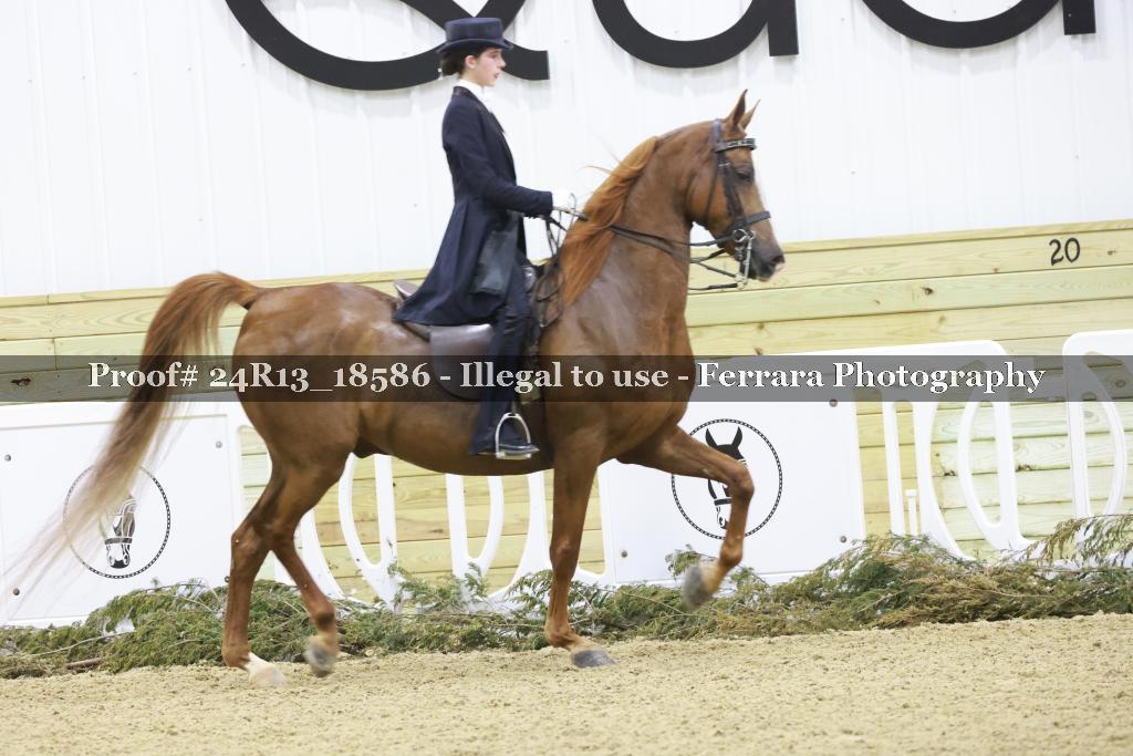 Proof Number 24R13_18586