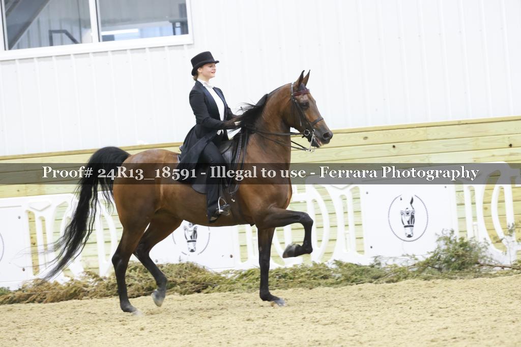Proof Number 24R13_18591