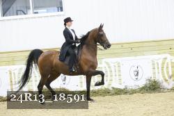 24R13_18591 thumbnail