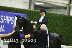 24R13_18603 thumbnail