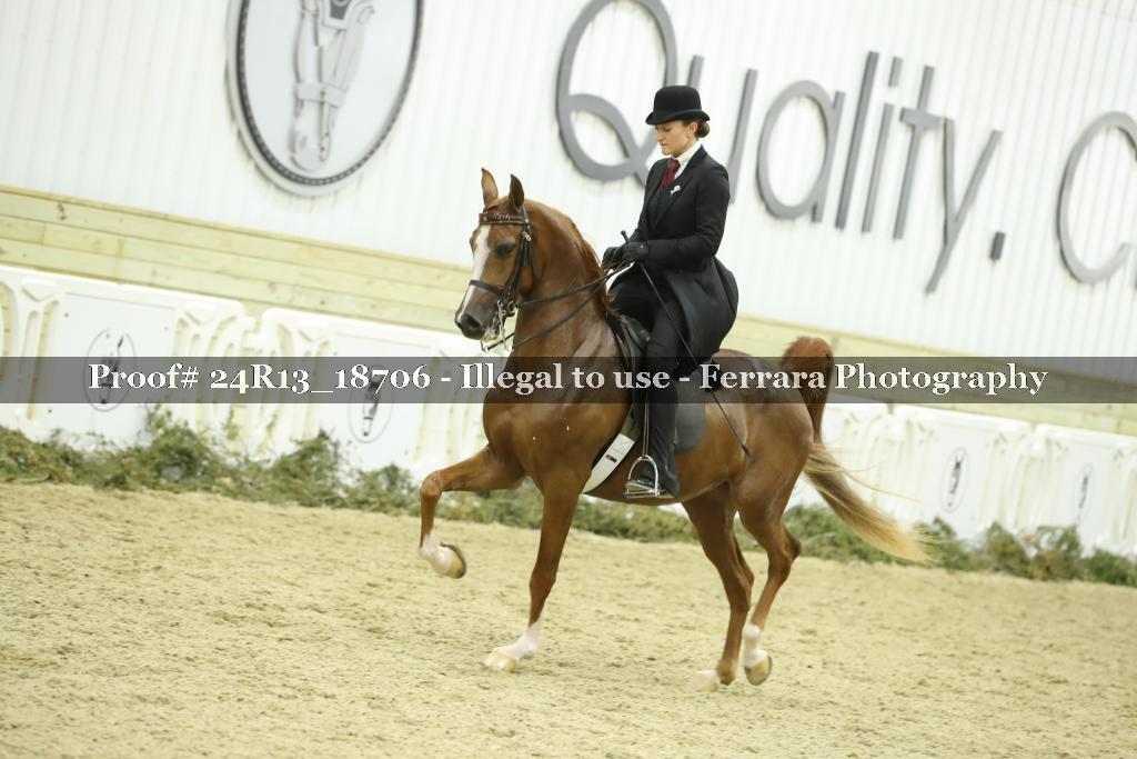 Proof Number 24R13_18706