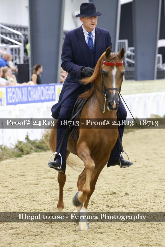 Proof Number 24R13_18713