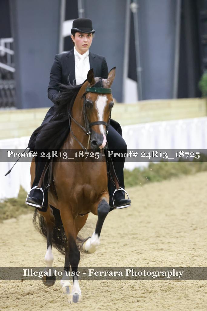 Proof Number 24R13_18725
