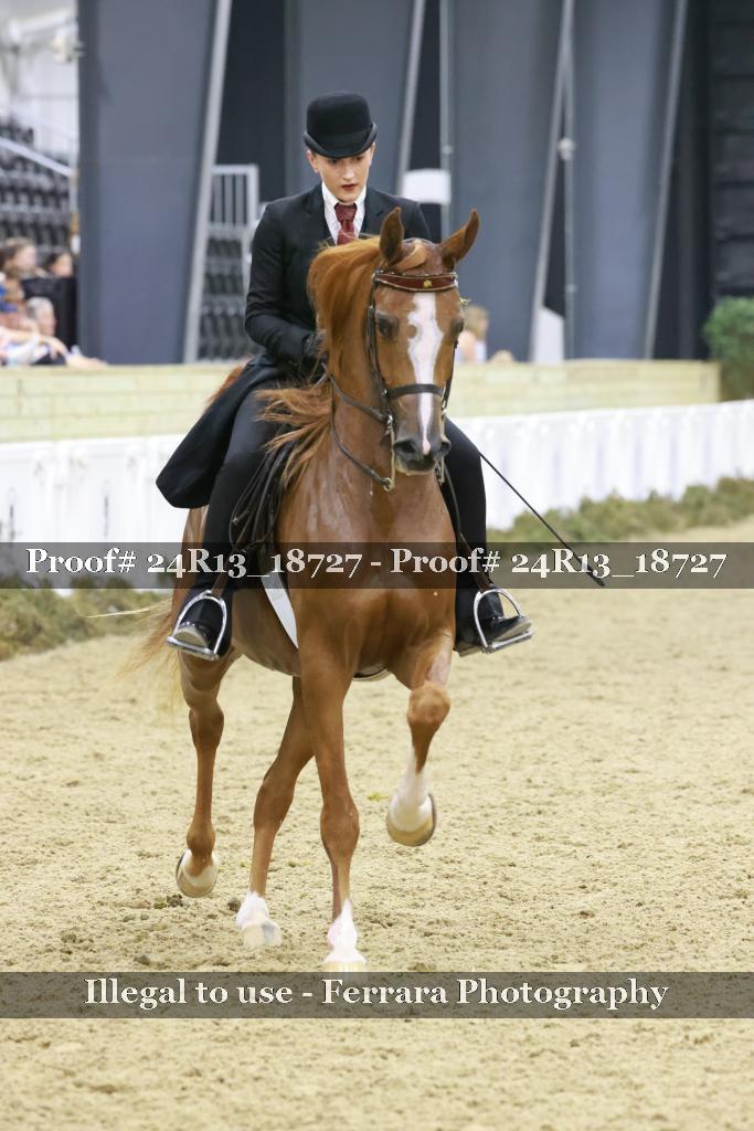 Proof Number 24R13_18727