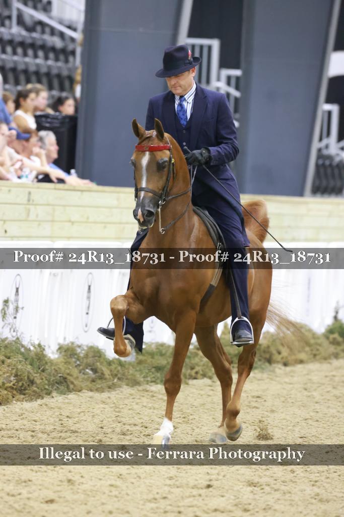 Proof Number 24R13_18731