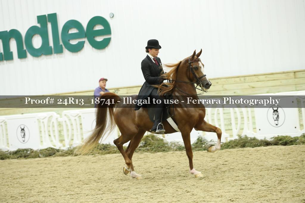 Proof Number 24R13_18741