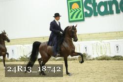 24R13_18742 thumbnail