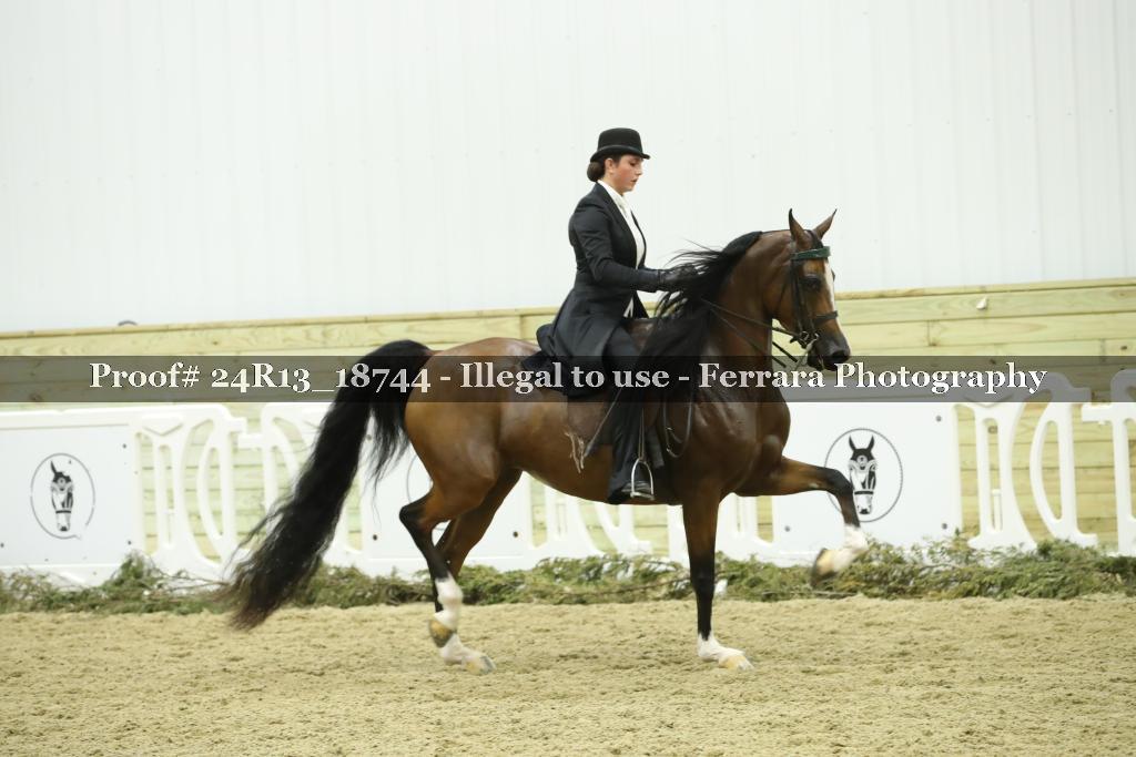 Proof Number 24R13_18744