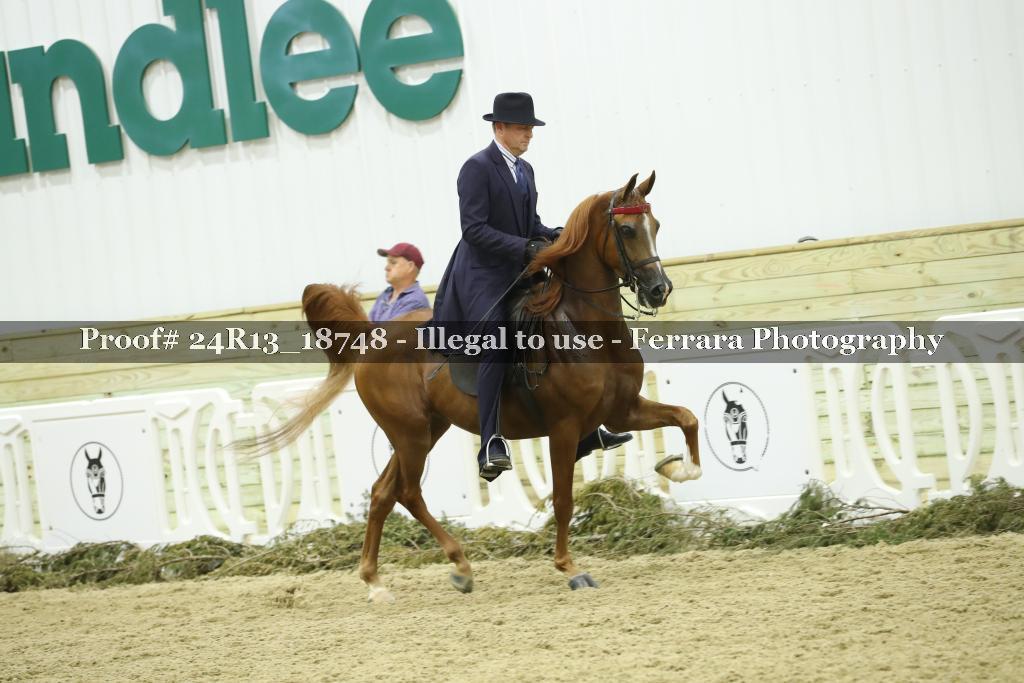 Proof Number 24R13_18748