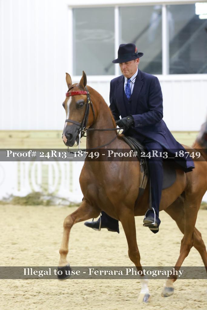 Proof Number 24R13_18749