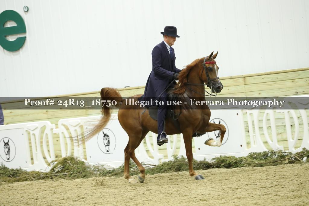 Proof Number 24R13_18750