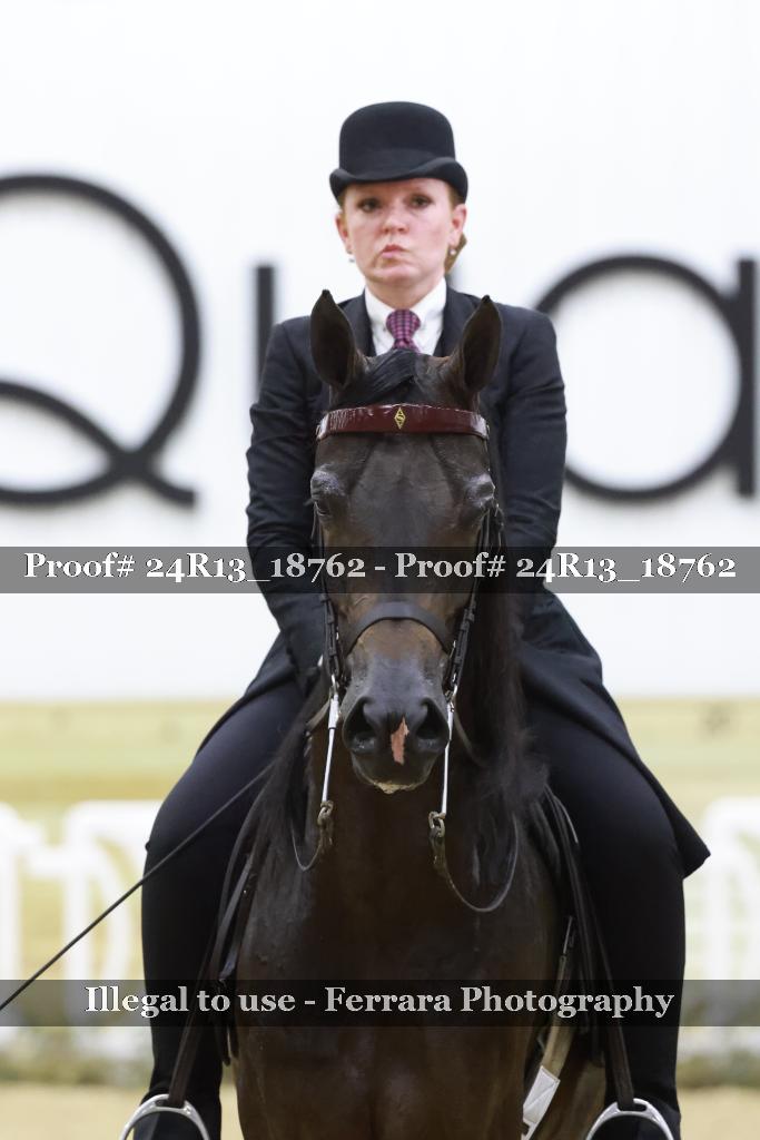 Proof Number 24R13_18762