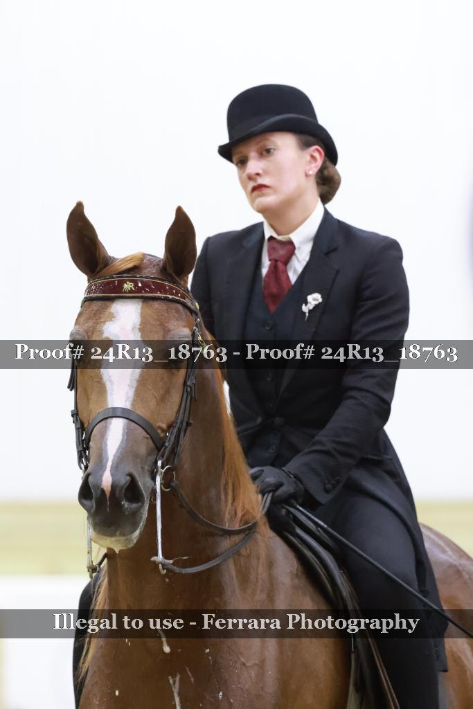 Proof Number 24R13_18763