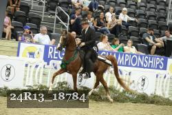 24R13_18784 thumbnail