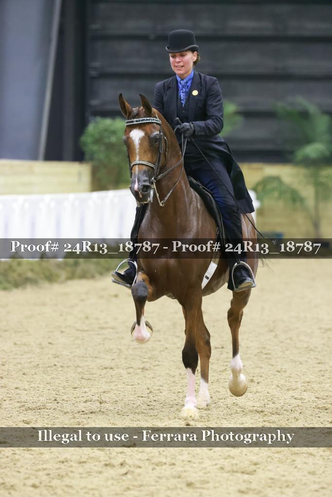 Proof Number 24R13_18787