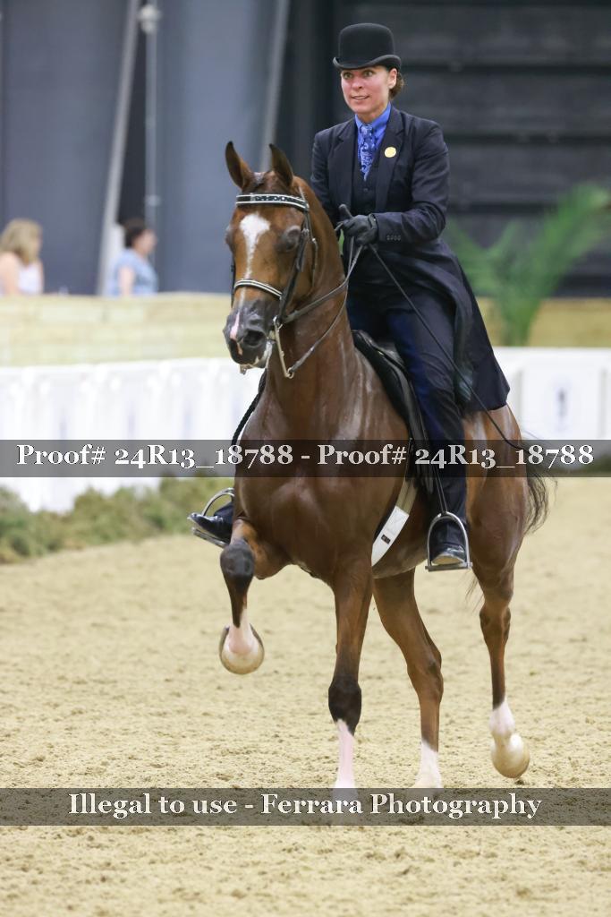 Proof Number 24R13_18788