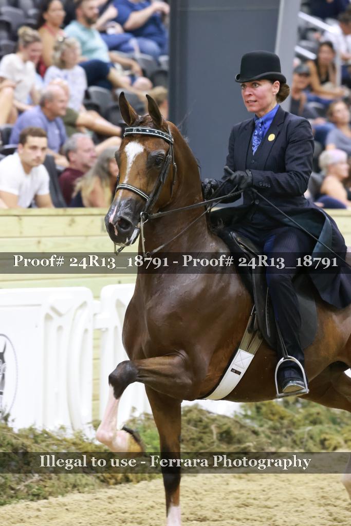 Proof Number 24R13_18791