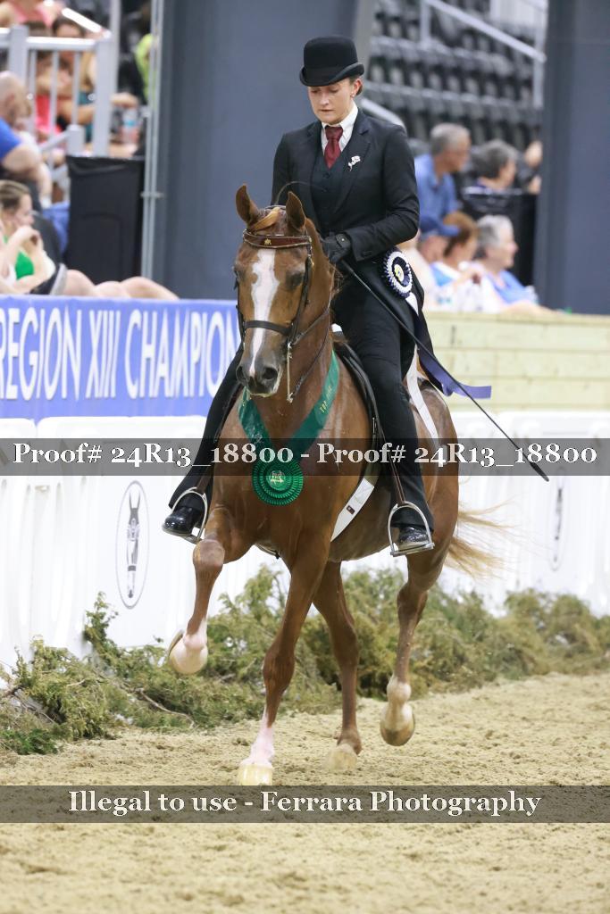 Proof Number 24R13_18800