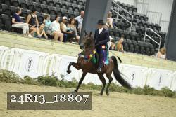 24R13_18807 thumbnail