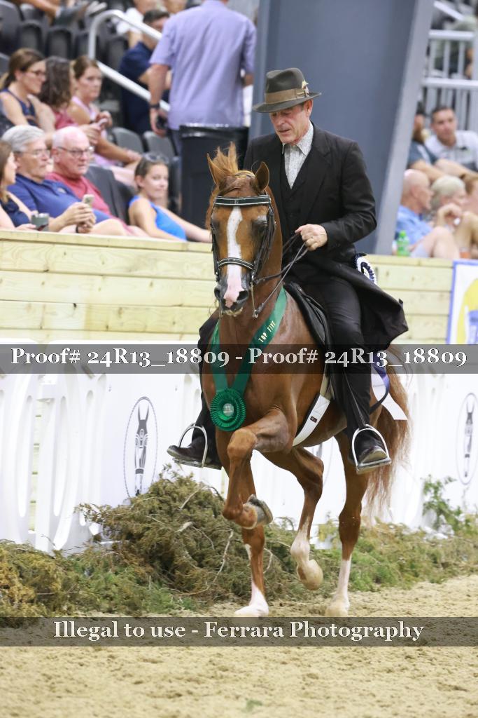 Proof Number 24R13_18809
