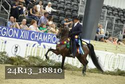 24R13_18810 thumbnail