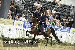 24R13_18812 thumbnail