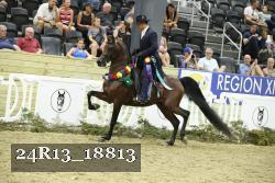 24R13_18813 thumbnail