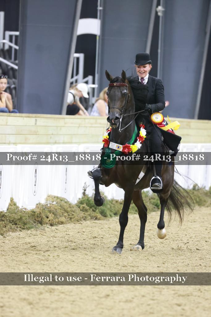 Proof Number 24R13_18818