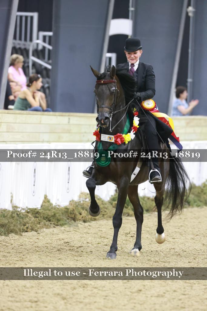 Proof Number 24R13_18819