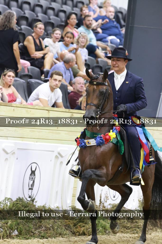 Proof Number 24R13_18831