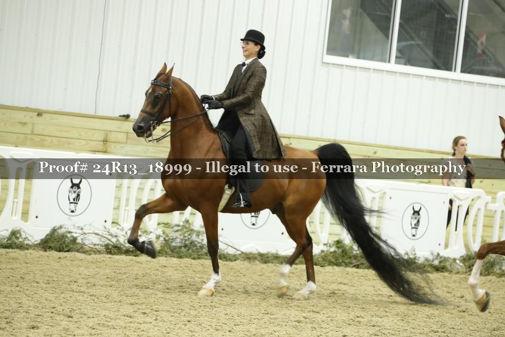 Proof Number 24R13_18999