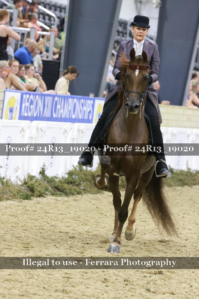 Proof Number 24R13_19020
