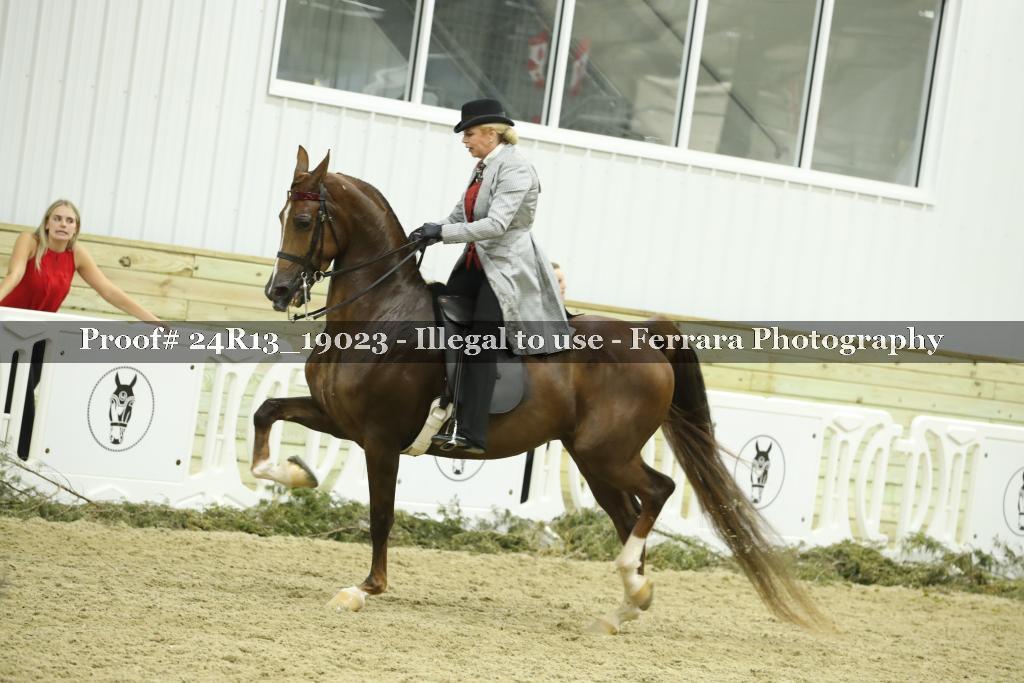Proof Number 24R13_19023