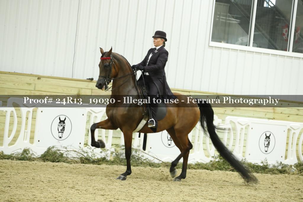Proof Number 24R13_19030