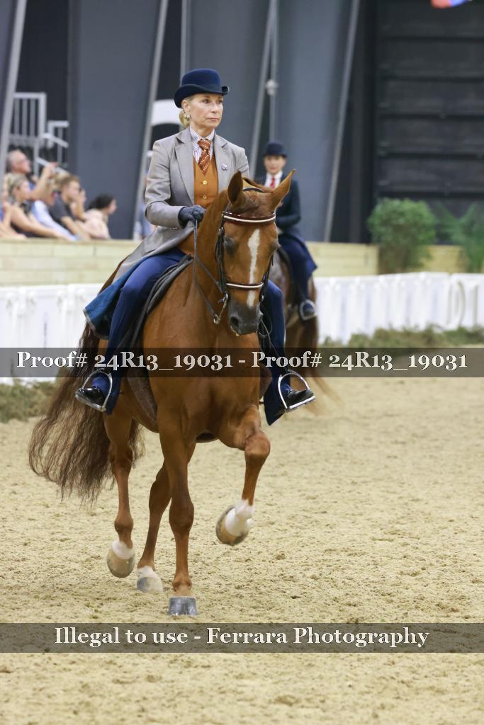 Proof Number 24R13_19031